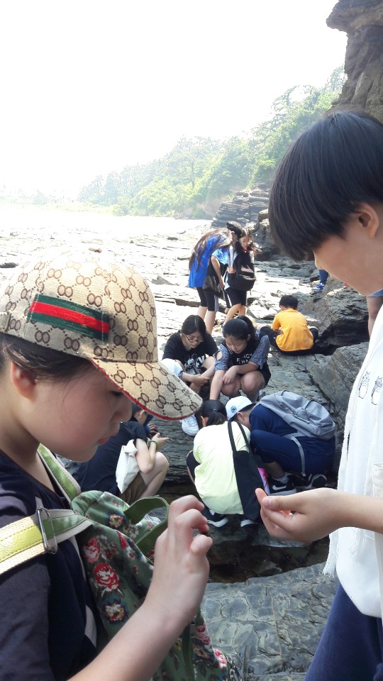 [19.07.06] 부안 지질 공원 탐방 활동 (초등) 이미지1