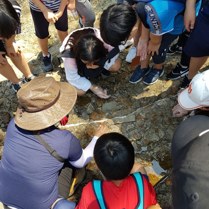 [19.07.06] 부안 지질 공원 탐방 활동 (초등) 이미지5