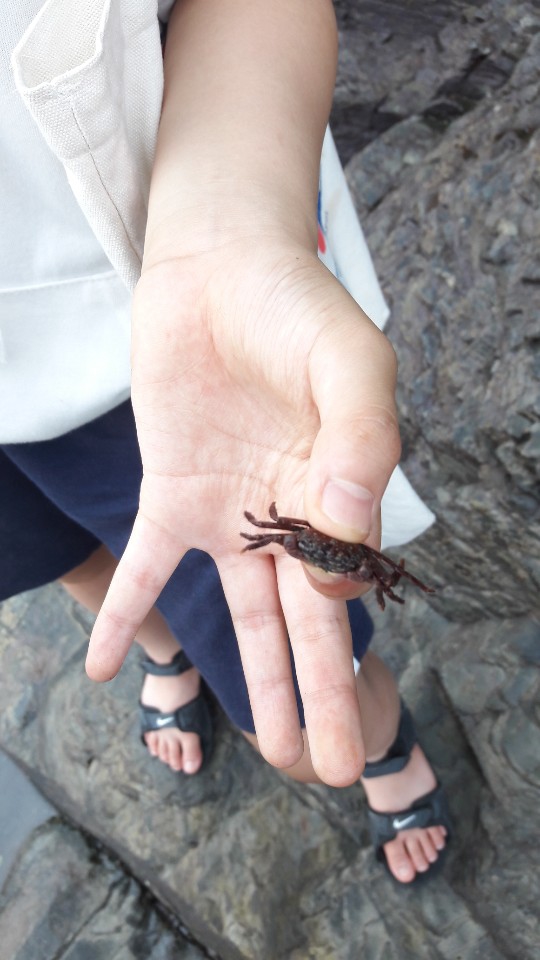 [19.07.06] 부안 지질 공원 탐방 활동 (초등) 이미지2